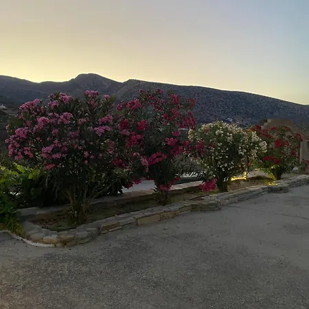 شقة Dream Catcher3 *