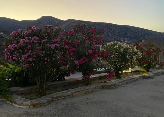 アパート Dream Catcher3 *